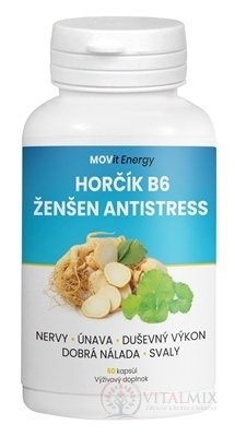 MOVit Hořčík B6 Ženšen Antistress cps 1x60 ks